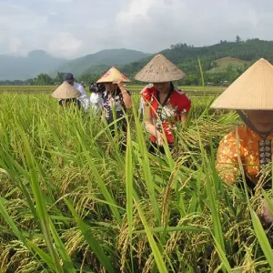 Gạo Séng Cù Hạt Tròn Hạt Dài Xát Mộc Ngon Nhiều Dưỡng Chất