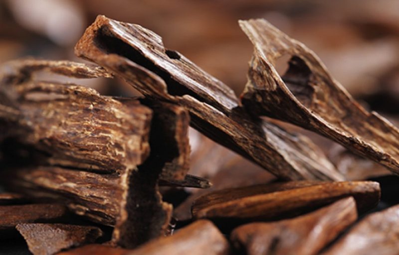 Trầm hương là gì