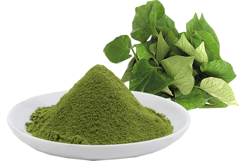 Công dụng bột diếp cá: Bí quyết tự nhiên cho sức khỏe và sắc đẹp