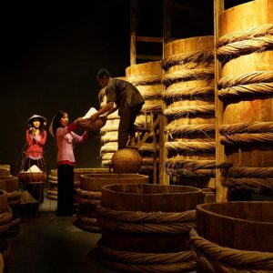 Combo 2 Chai 500ml Nước Mắm Tĩn Cá Cơm Ruột ĐỎ ĐỘ ĐẠM 60n Chai Thủy Tinh - Nước Mắm Tĩn