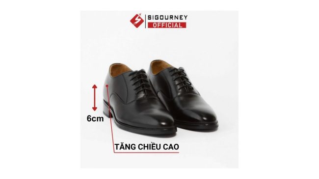 Giày Oxford tăng chiều cao 6cm da bò màu đen Sigourney